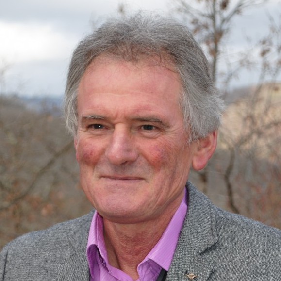 Jean-Michel DEMONEIN