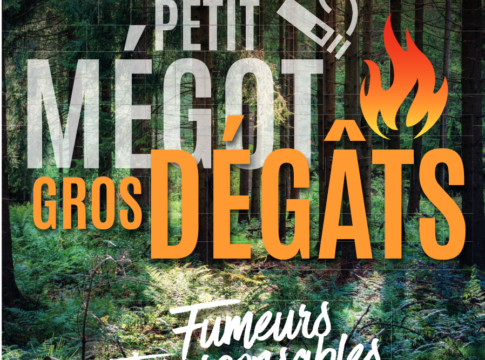 Feux de forêt - affiche de prévention